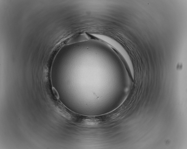 X0000096190556200802011409