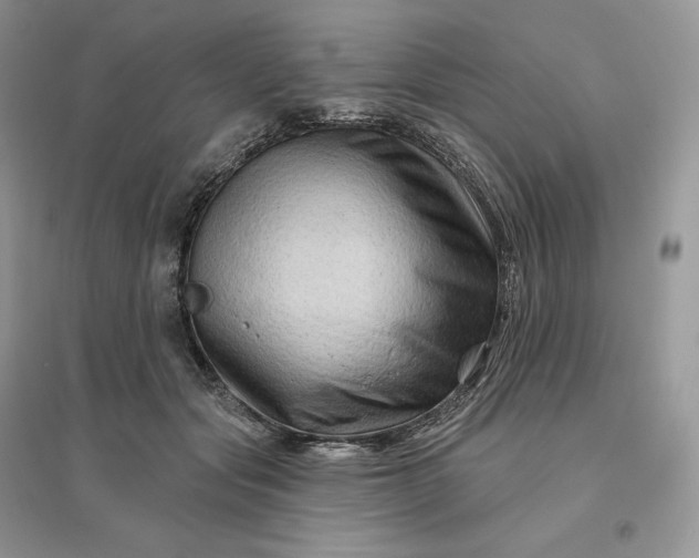 X0000096190557200802011409