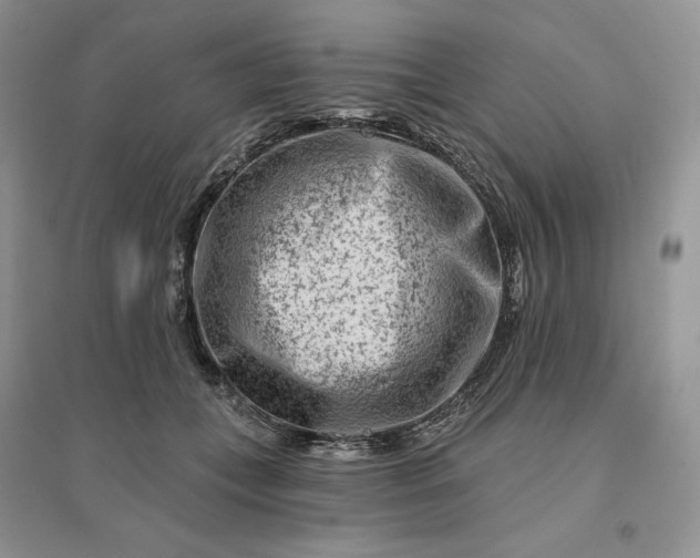 X0000096190559200802011409