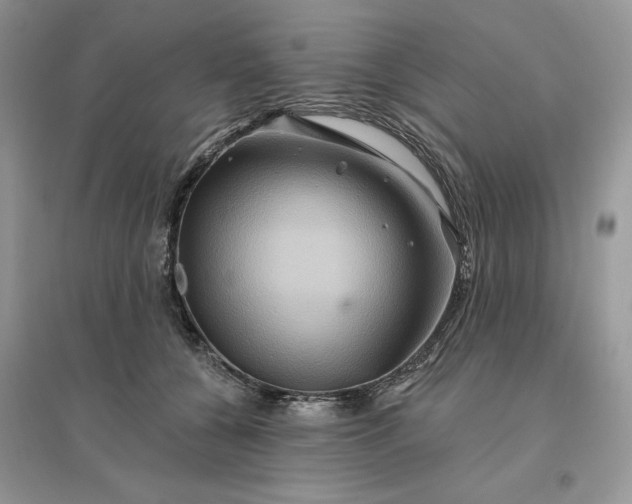 X0000096190560200802011409