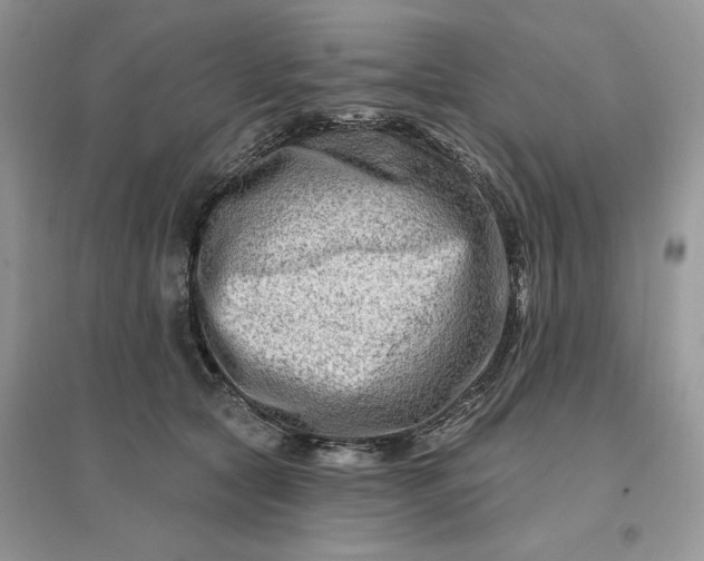 X0000096190561200802011409