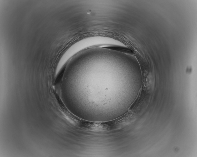 X0000096190562200802011409