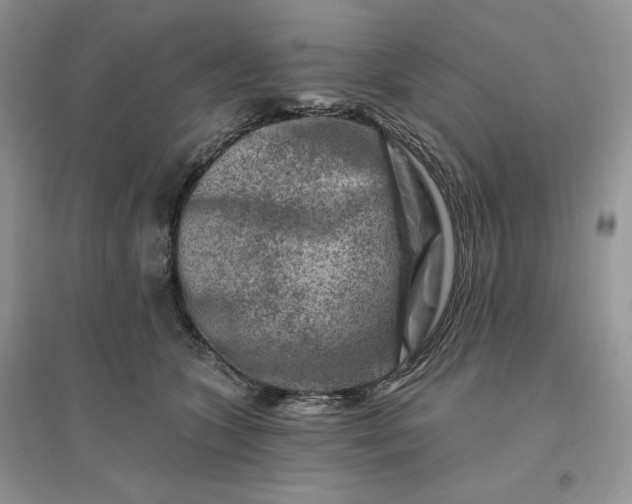 X0000096190563200802011409