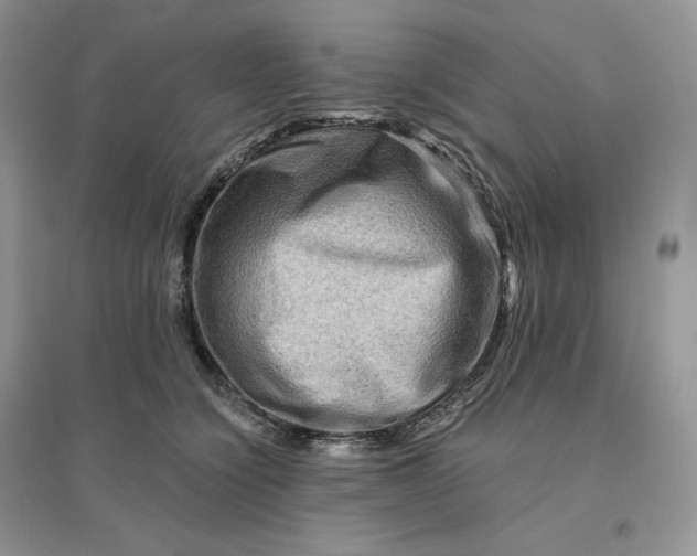 X0000096190564200802011409