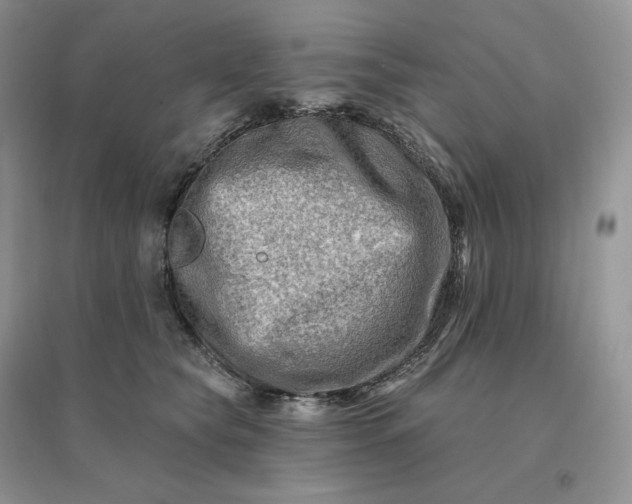 X0000096190565200802011410