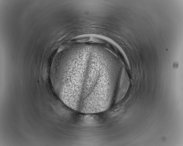 X0000096190566200802011410