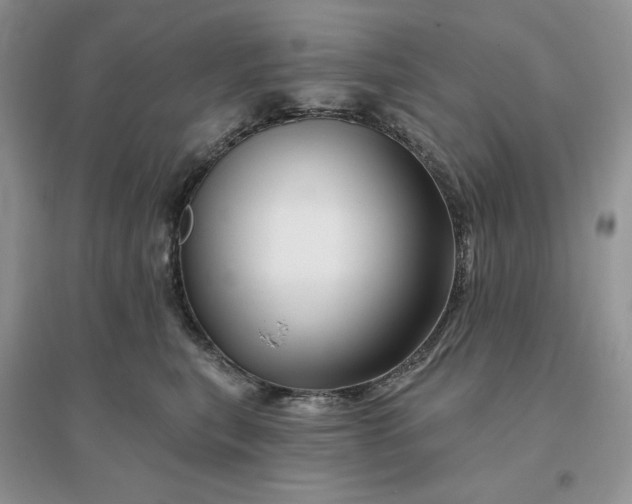 X0000096190567200802011410