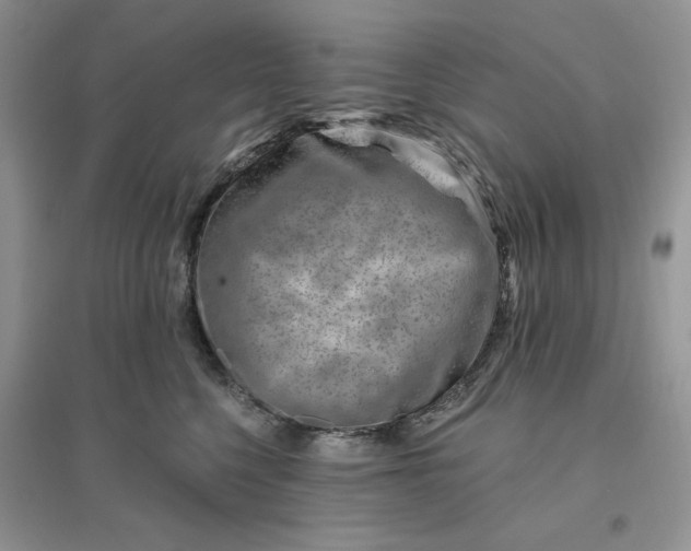 X0000096190568200802011410