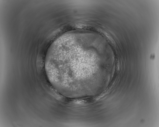 X0000096190569200802011410