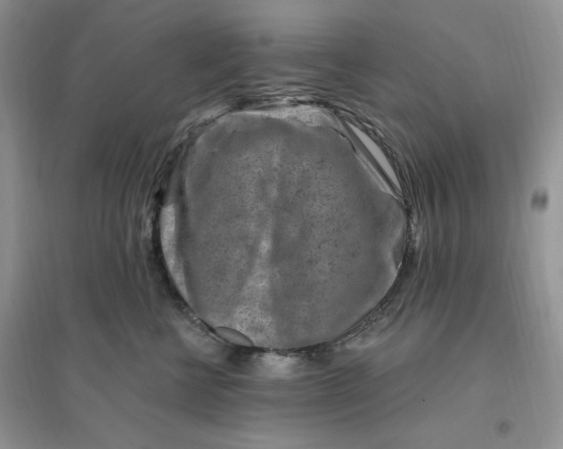 X0000096190570200802011410