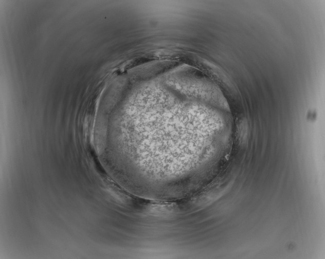 X0000096190571200802011410