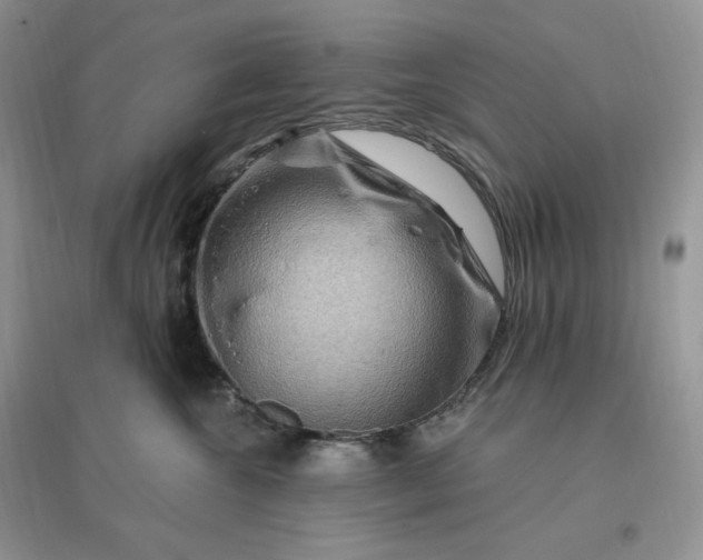 X0000096190572200802011410