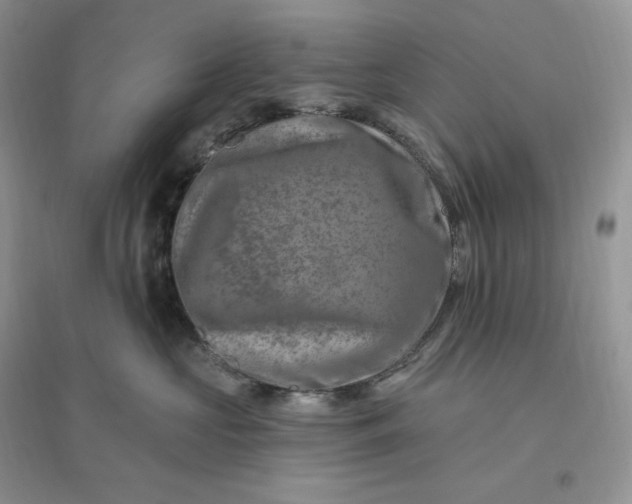 X0000096190573200802011410