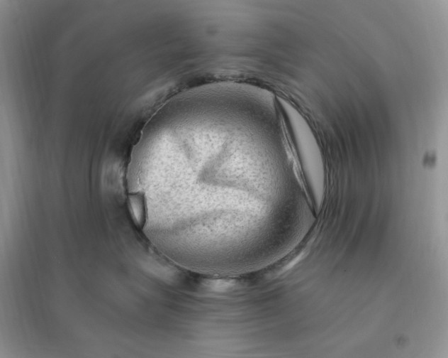 X0000096190575200802011410