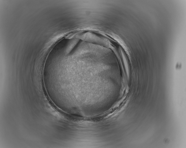 X0000096190577200802011409