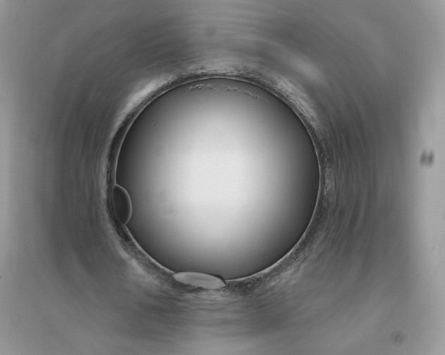 X0000096190578200802011409