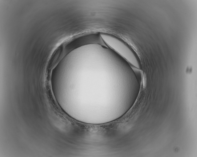 X0000096190579200802011409