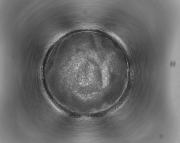 X0000096190581200802011409