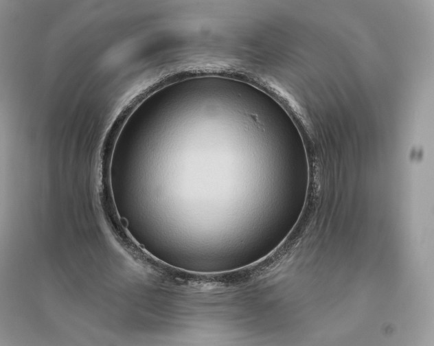 X0000096190582200802011409