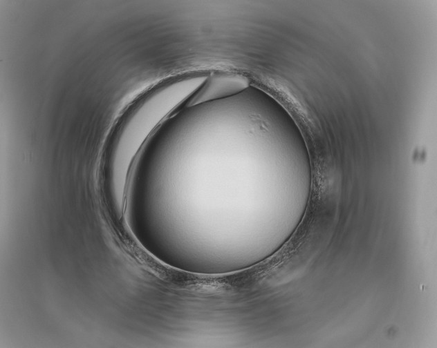 X0000096190583200802011409