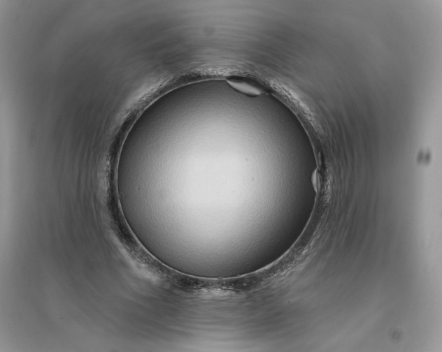 X0000096190586200802011409