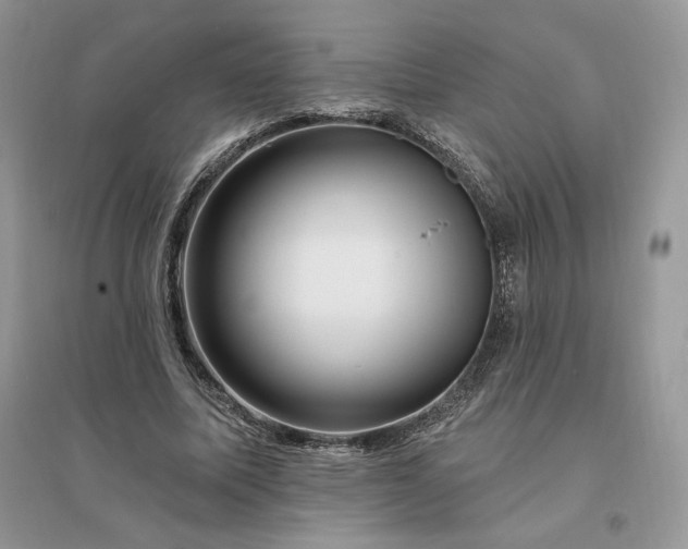 X0000096190587200802011409