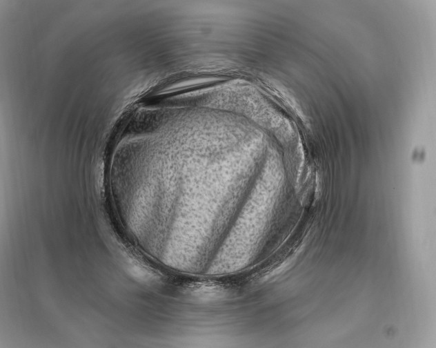 X0000096190589200802011409