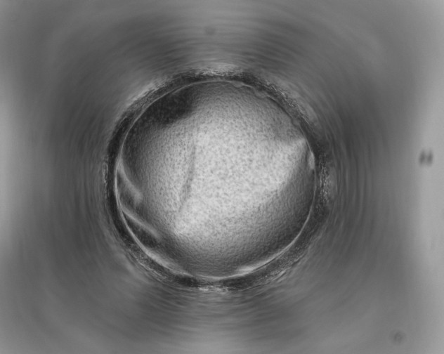 X0000096190591200802011409