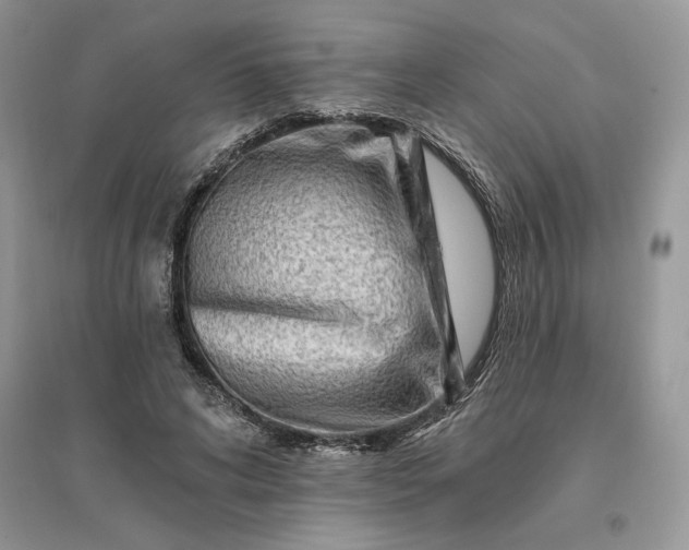 X0000096190592200802011409