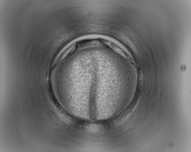 X0000096190593200802011409