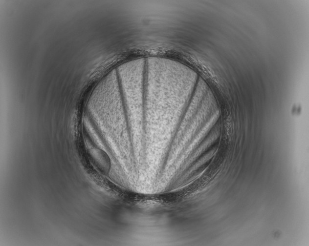 X0000096190594200802011409