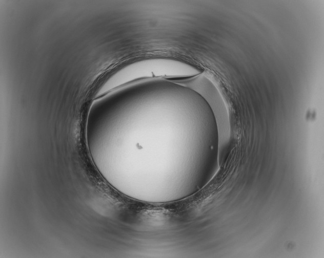 X0000096190595200802011409