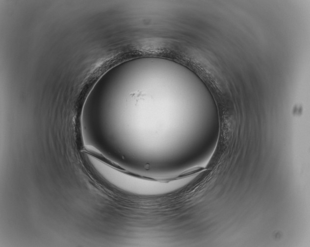 X0000096190596200802011409