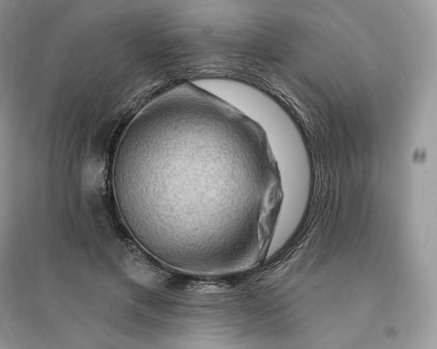 X0000096190597200802011409