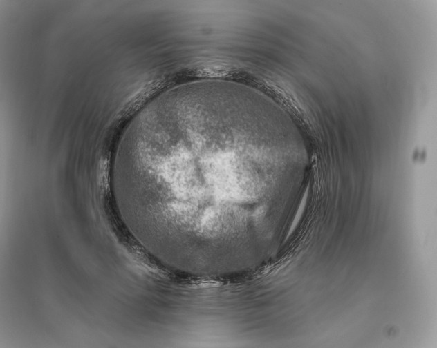 X0000096190598200802011409