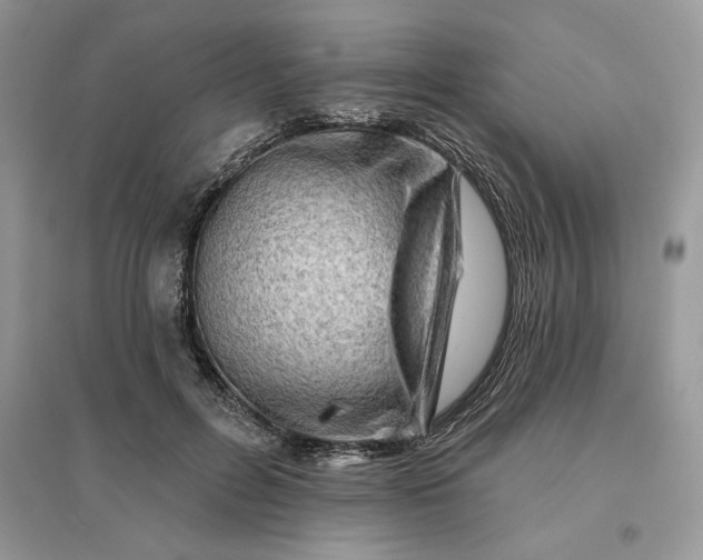 X0000096190600200802011409