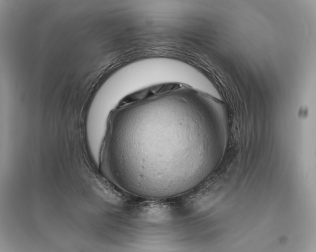 X0000096190601200802011409