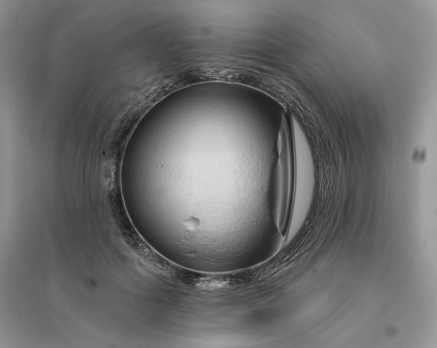 X0000096190602200802011409