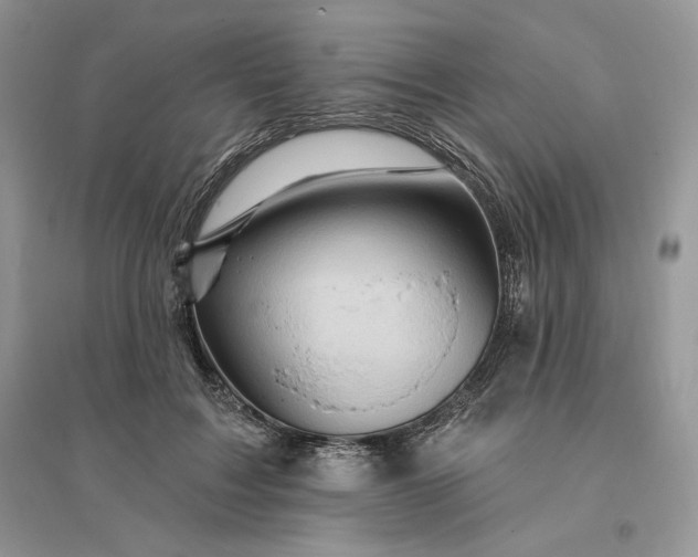 X0000096190603200802011409