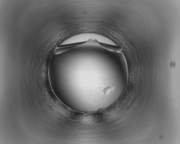 X0000096190604200802011409