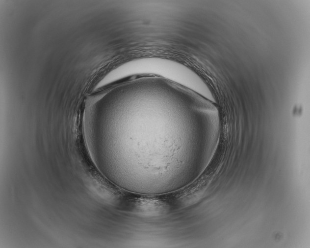 X0000096190605200802011409