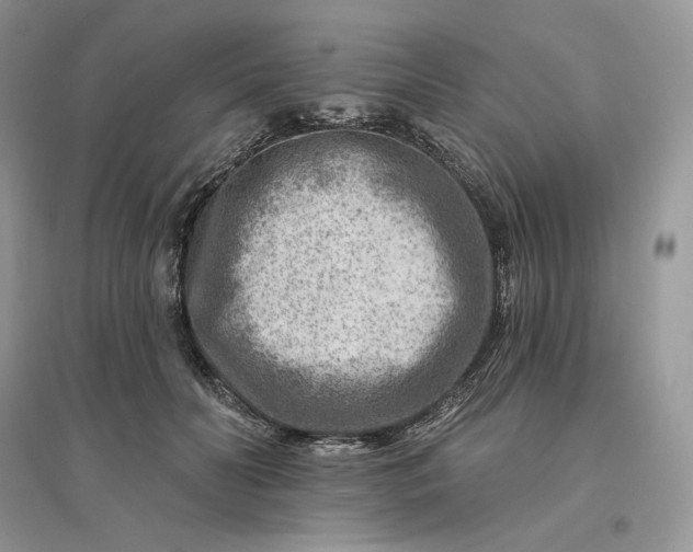 X0000096190606200802011409