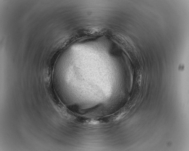 X0000096190607200802011409