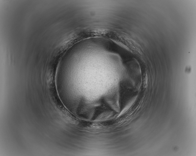 X0000096190608200802011409