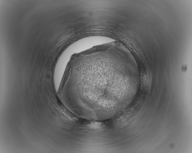 X0000096190609200802011409