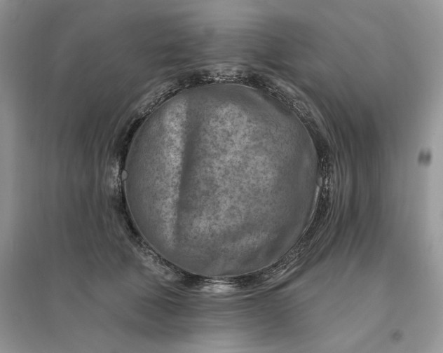 X0000096190610200802011409