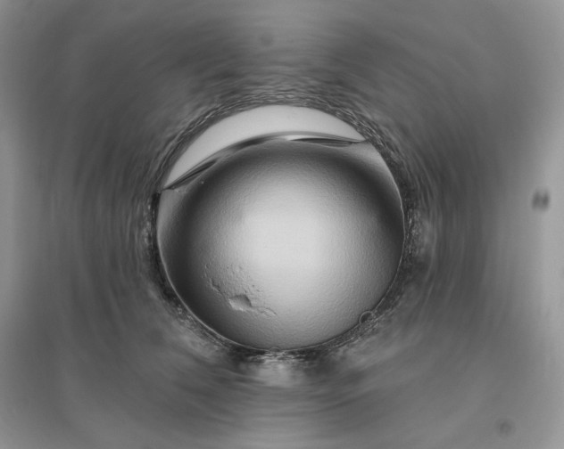 X0000096190612200802011409