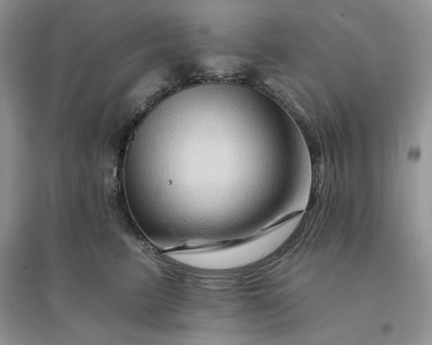 X0000096190615200802011408