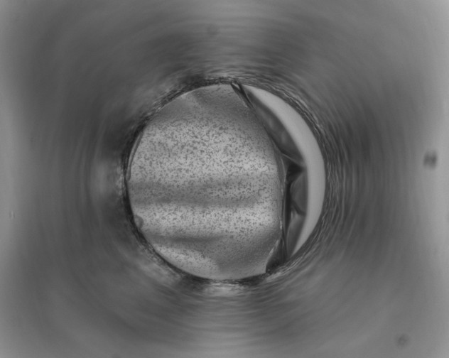 X0000096190617200802011408