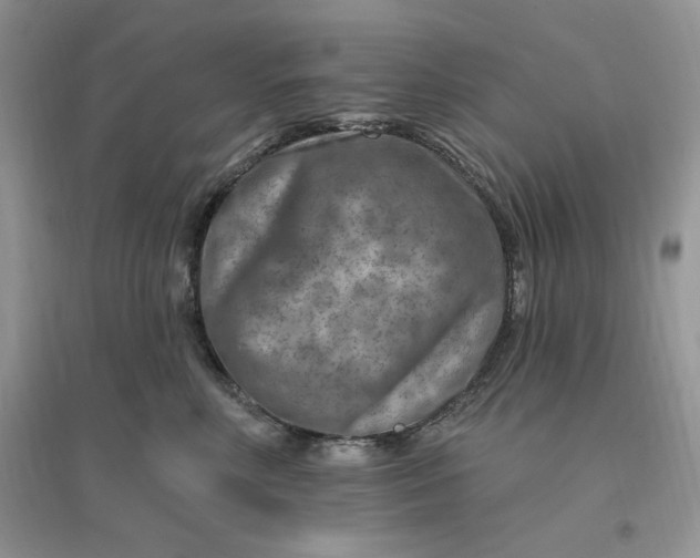 X0000096190618200802011408